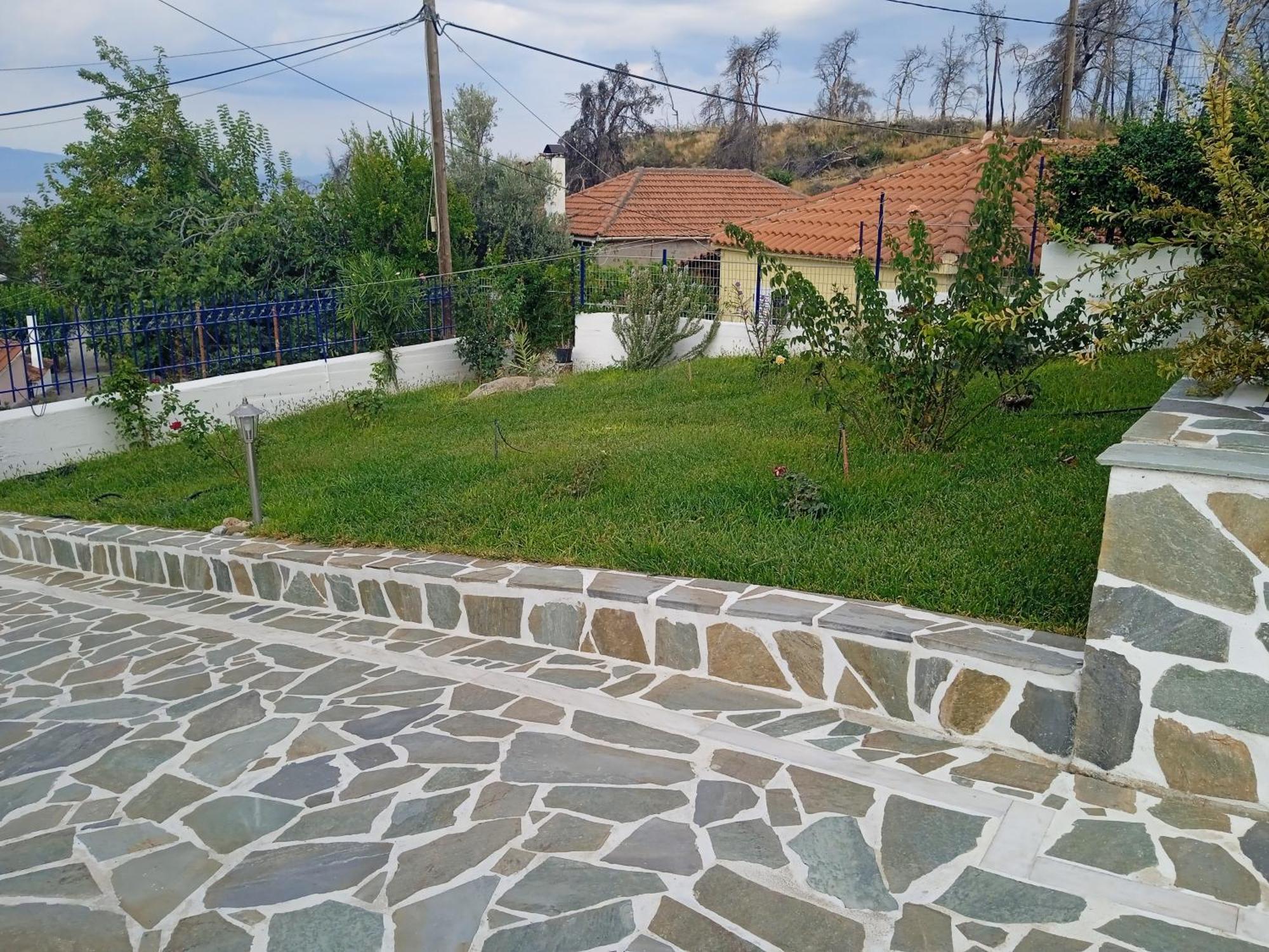 Paleochori Σπίτι Στο Βουνό Αλλά Μια Ανάσα Από Τη Θάλασσαヴィラ エクステリア 写真